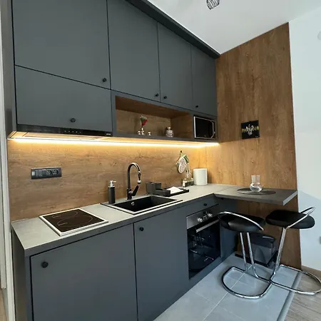 Viver Vrnjacka Banja *