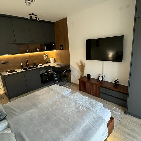 Apartment Viver Vrnjacka Banja