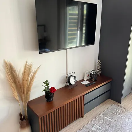 Viver Vrnjacka Banja Apartment