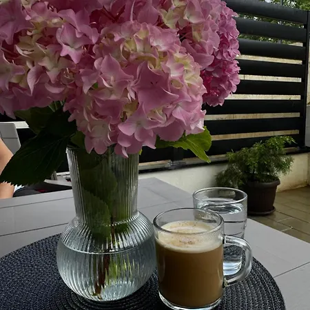 Viver Vrnjacka Banja *