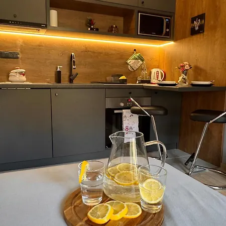 Viver Vrnjacka Banja Vrnjci