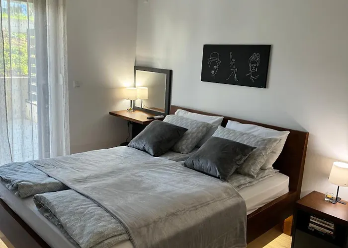 Viver Vrnjacka Banja *