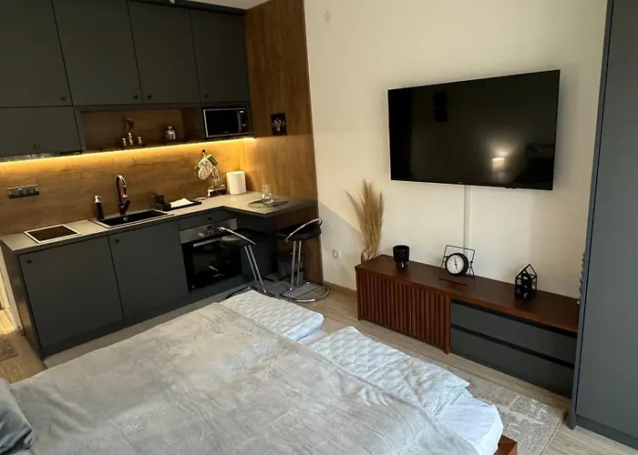 Lägenhet Viver Vrnjacka Banja