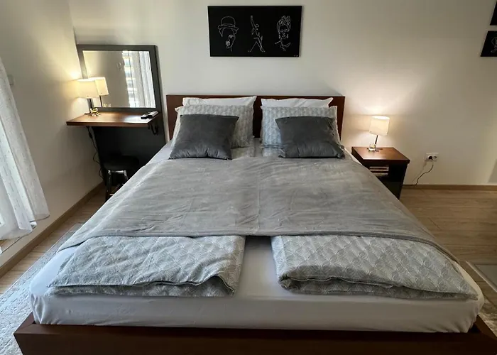 Viver Vrnjacka Banja Vrnjci