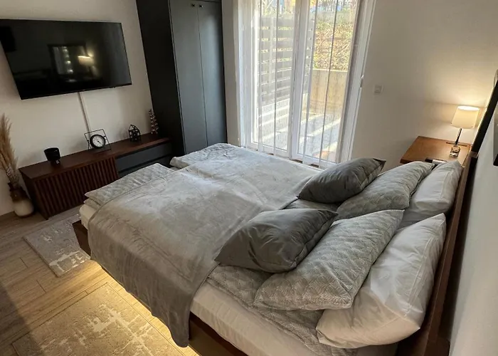 Viver Vrnjacka Banja Vrnjci