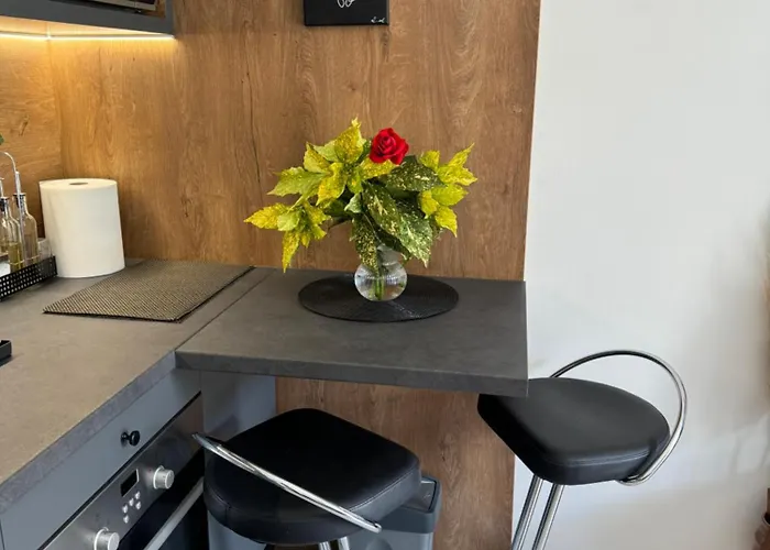 Viver Vrnjacka Banja