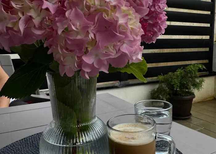 Viver Vrnjacka Banja *