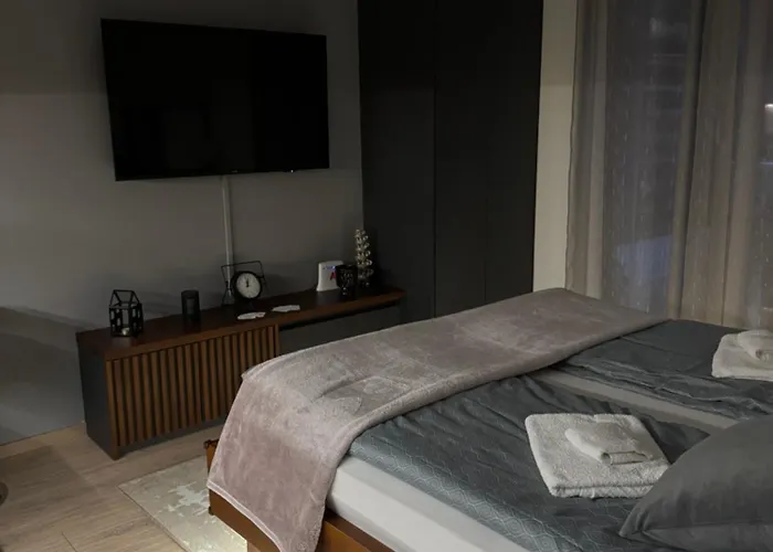 Viver Vrnjacka Banja *